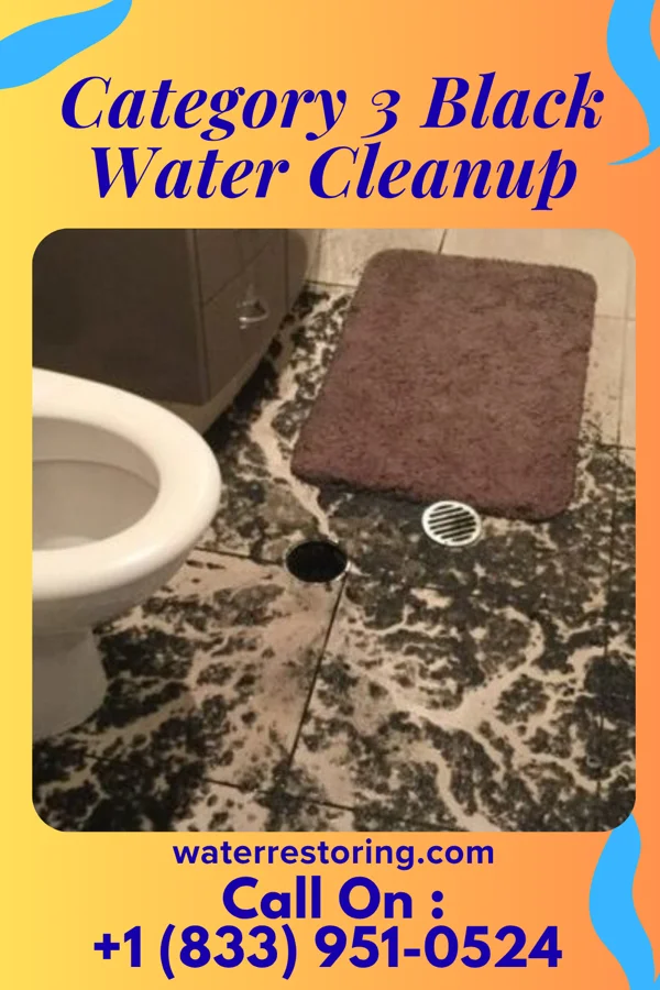 Category 3 Black Water Cleanup in Arnold City, PA