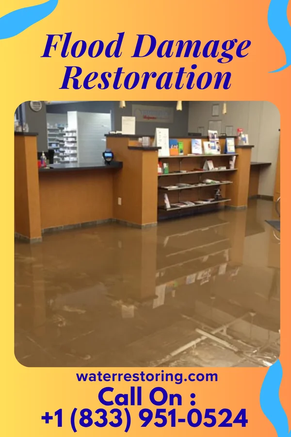 Flood Damage Restoration in Arnold City, PA